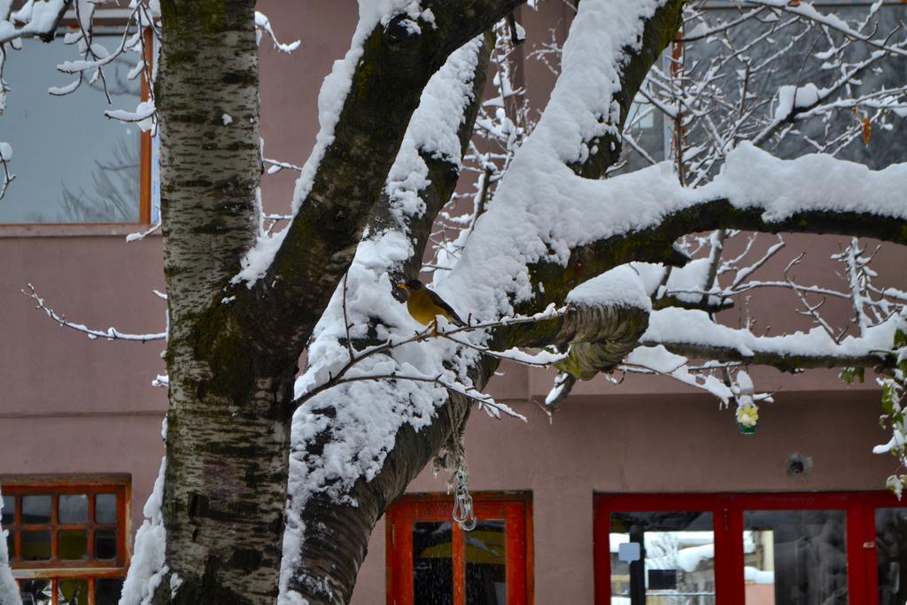 Casa Del Pueblo Hostel Ескуел Екстериор снимка